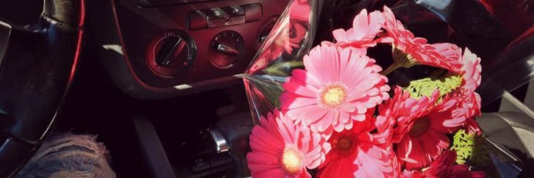 Cinteeab's profile banner image