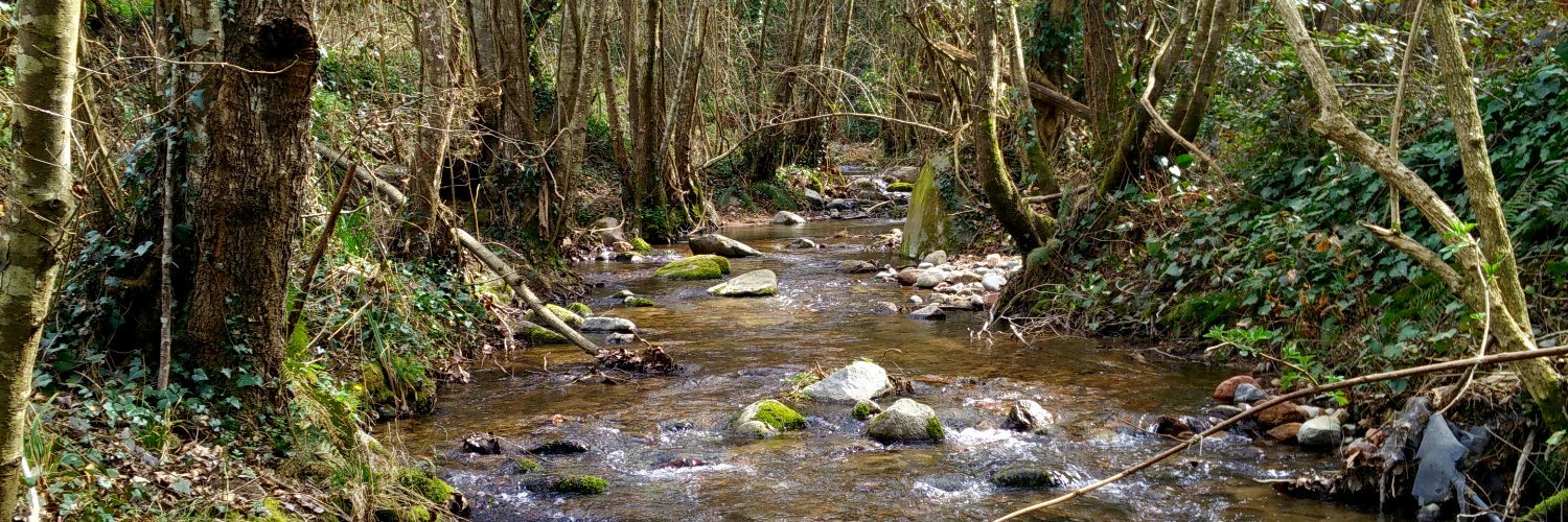 El batec dels rius banner