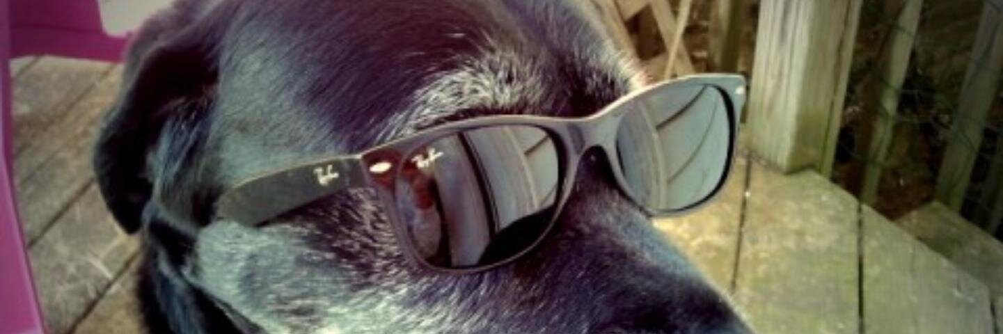 krissyt67's profile banner image