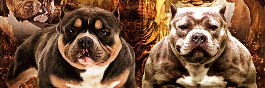 MaxDethy69's profile banner image