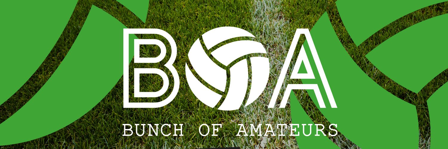 BunchOfAmateurs's banner