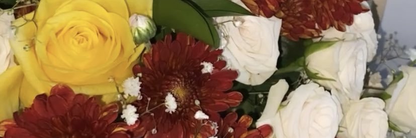 Aluko__'s profile banner image