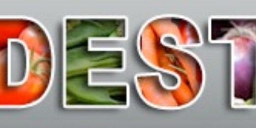 DKFoodie's profile banner image