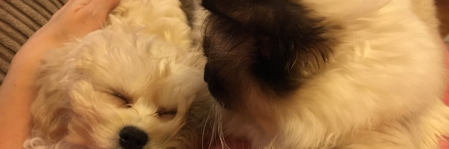 Jolene Angel and Dobby! banner