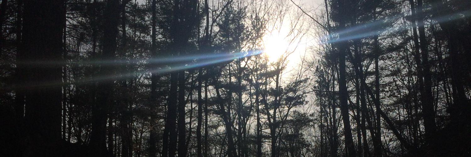 NevershoutCiera's profile banner image