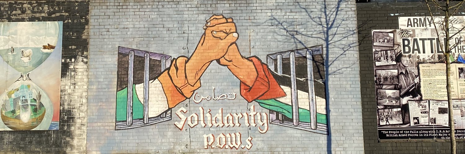 ✊🇵🇸 banner