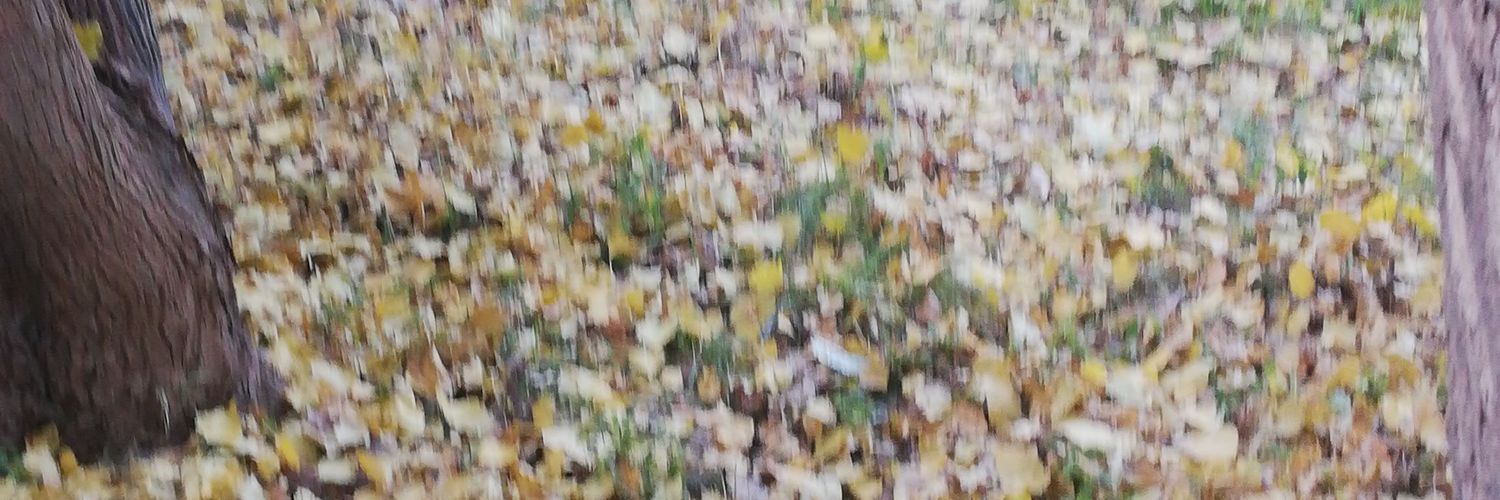 saadisaadu's profile banner image