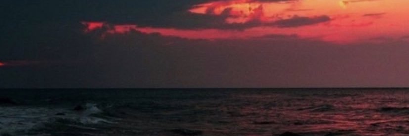 haleighsteding's profile banner image