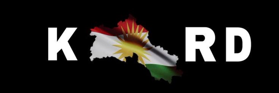 Alaa Pasha's banner