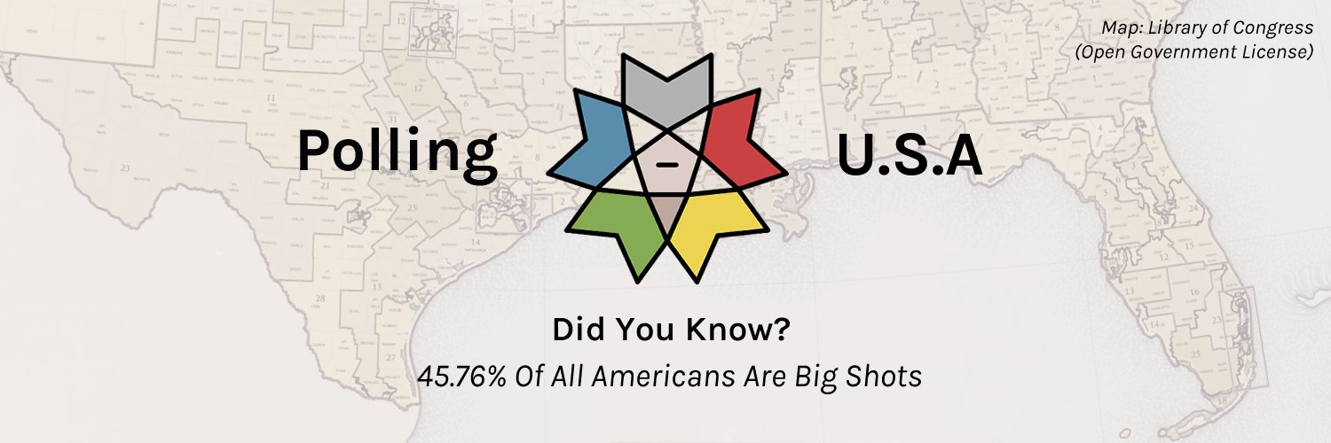 Polling USA's banner