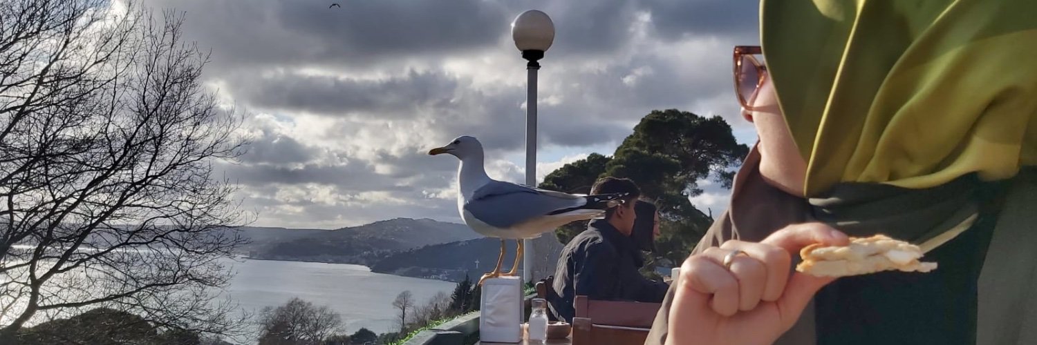 ayyyseaydogan's profile banner image