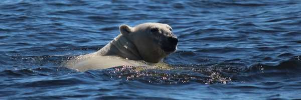 al_langwieder Profile Banner