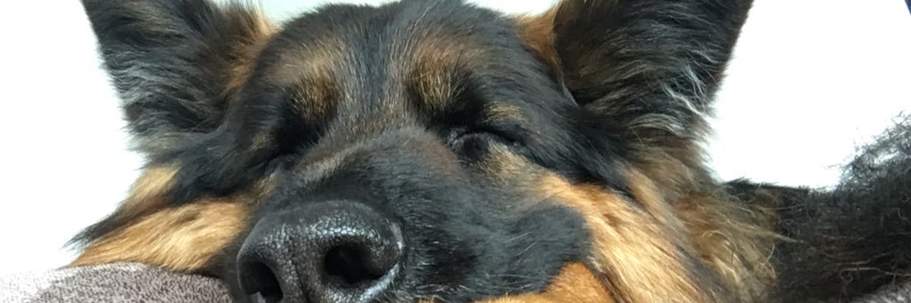 steveglassey's profile banner image