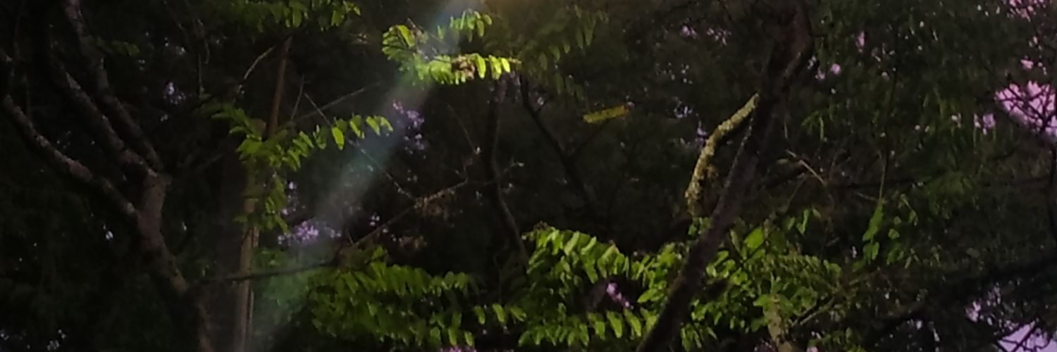 TheRealLazerkai's profile banner image