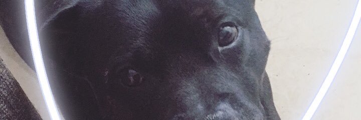 fuckroutinee's profile banner image