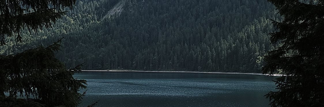 Jessicaholzman's profile banner image
