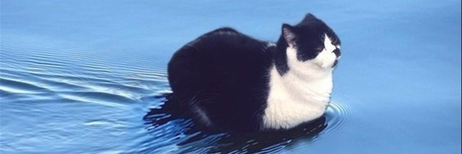 Ellie with an E banner