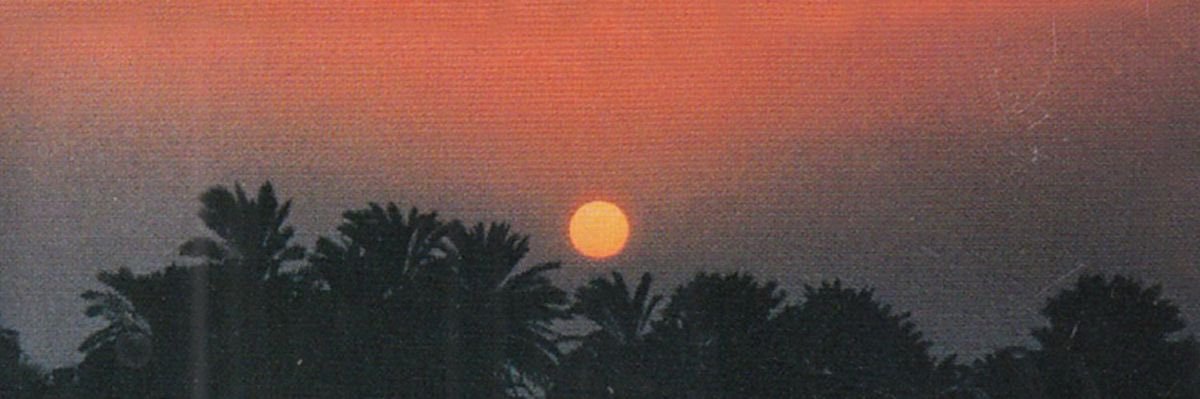 SaoRed's profile banner image
