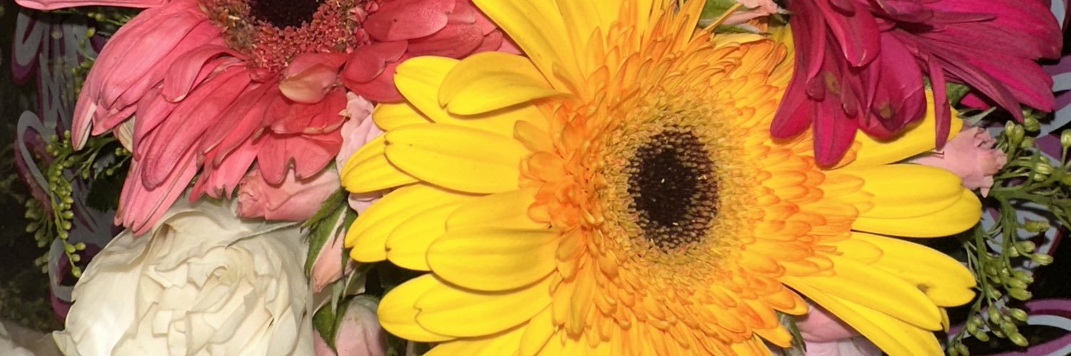 zalmaa_'s profile banner image