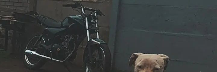 Julivillalbaaa's profile banner image