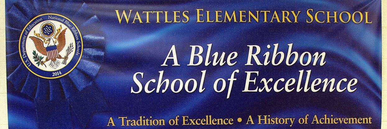 wattlespto's profile banner image