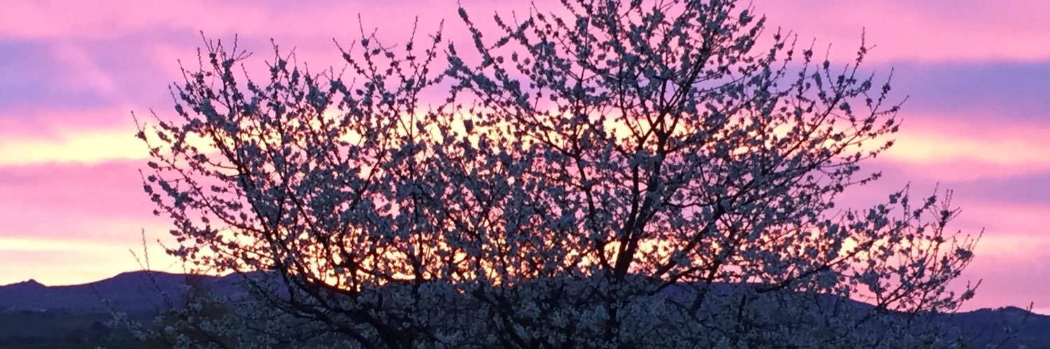 Guillaume DALLIERE banner