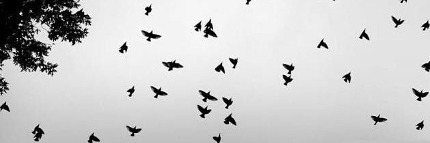 s_sim_9's profile banner image
