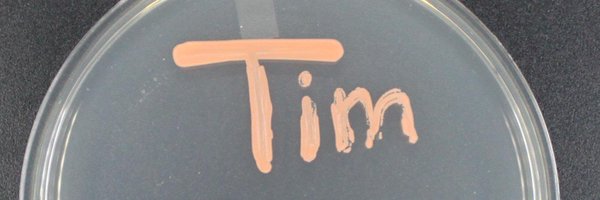 TimCho17 Profile Banner