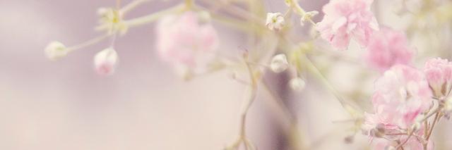 AriiMendoza's profile banner image
