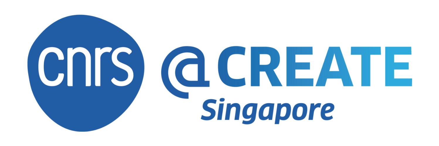 CNRS@CREATE banner