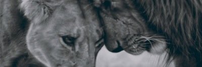 SayYesToLex's profile banner image