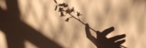 Peaxchy3's profile banner image
