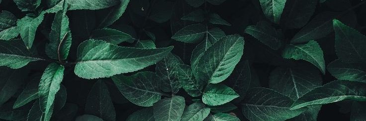 NGLLRZ's profile banner image