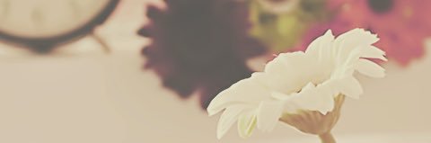 ays_noosh's profile banner image