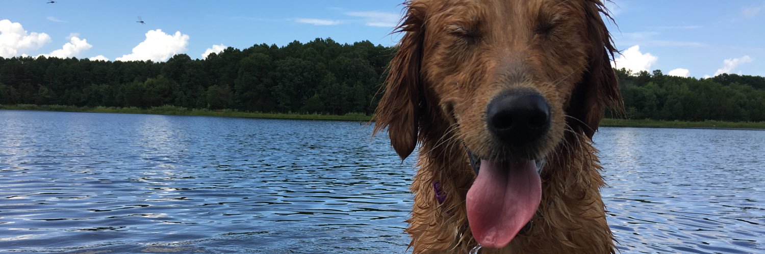 sidneyjohnston2's profile banner image
