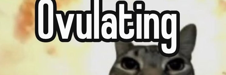 rand0mical's profile banner image