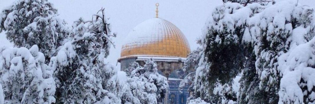 GozcuMuhammed's profile banner image