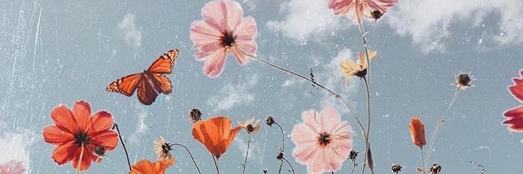 Jessica_slm's profile banner image