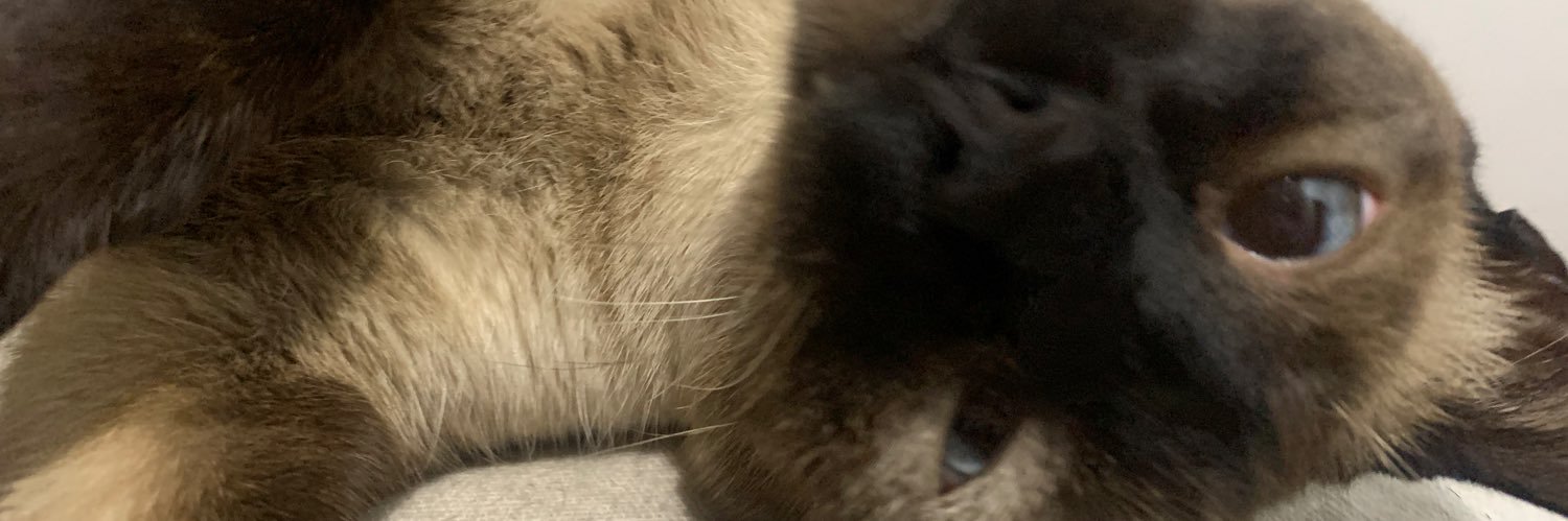 matheuspieroni's profile banner image