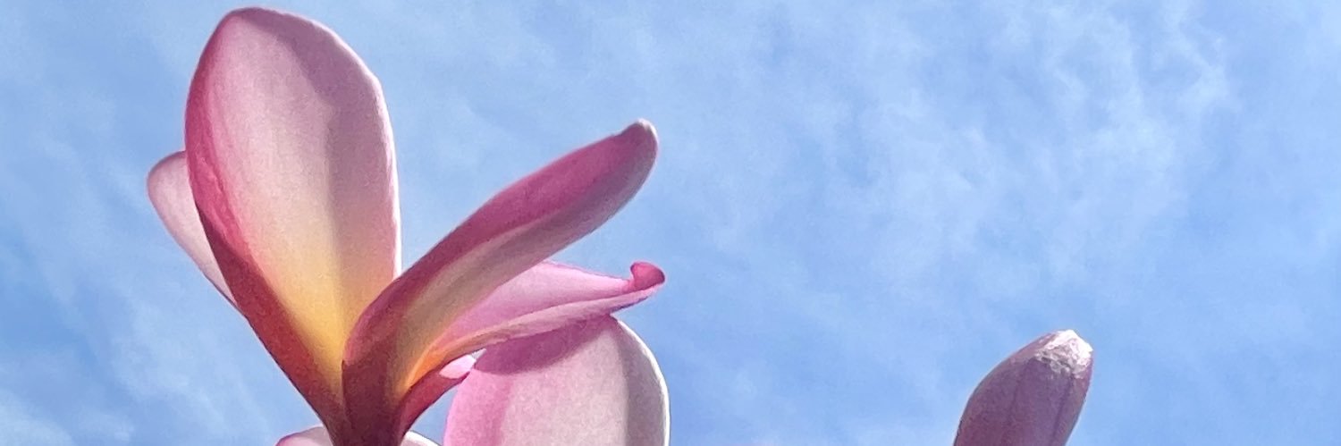 anuenue_kai_a's profile banner image