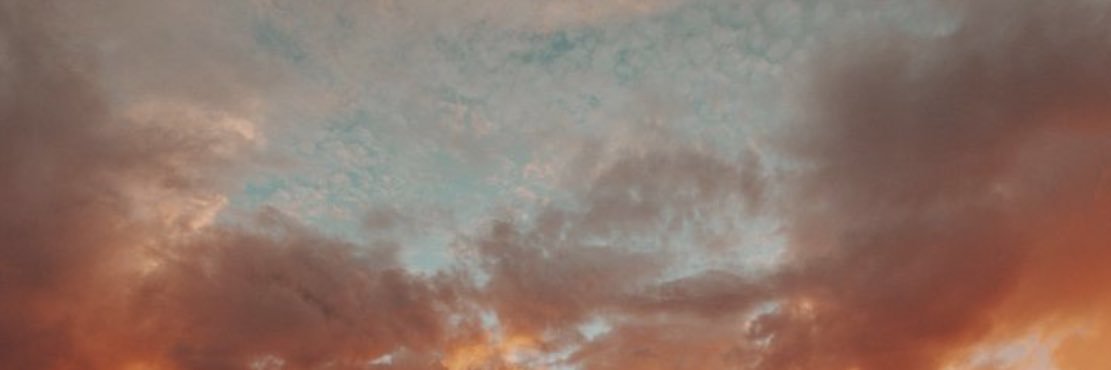 _maddierea's profile banner image