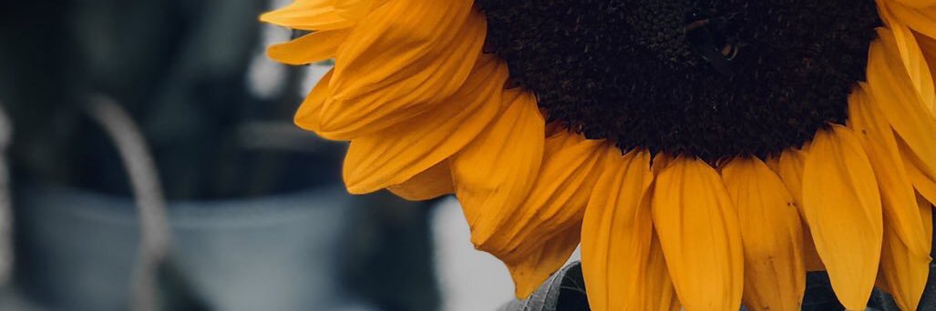 ii_0A's profile banner image