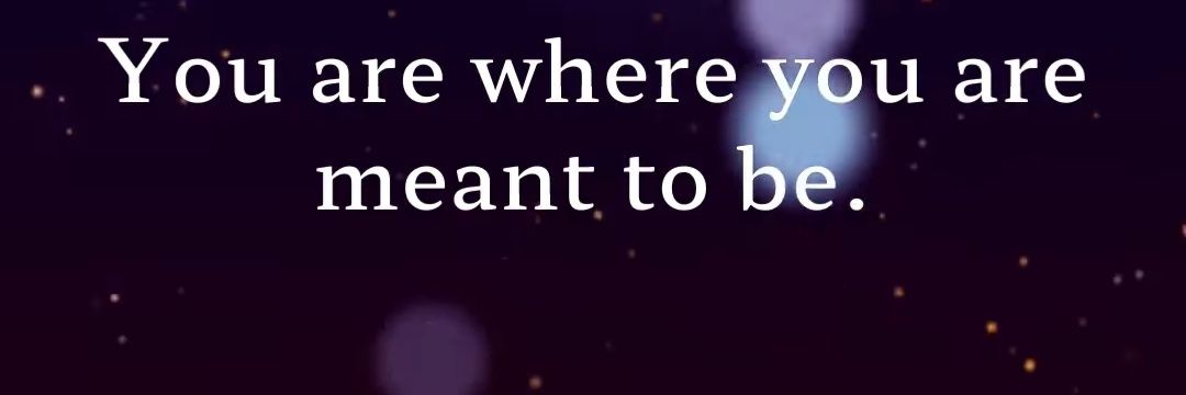 Tori__TT's profile banner image