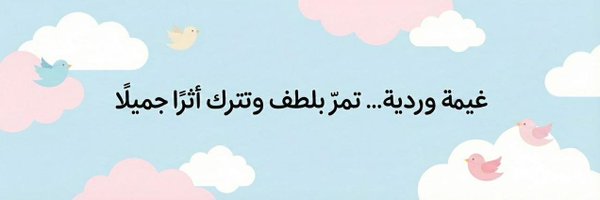 N14342 Profile Banner