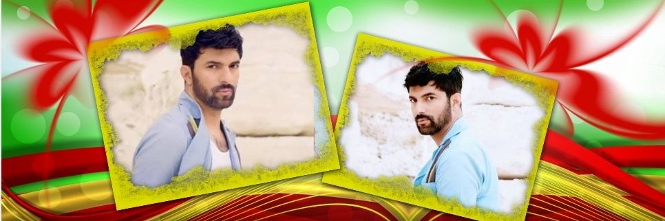 Engin Akyürek Poland Fans banner