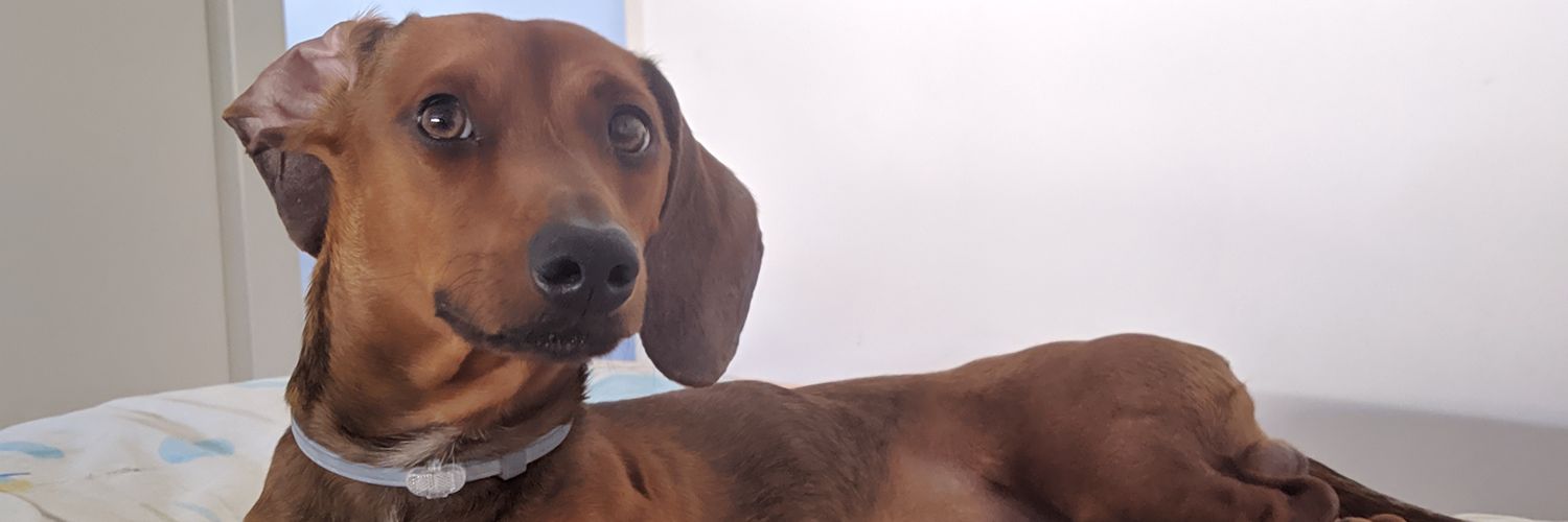 Michuu81's profile banner image