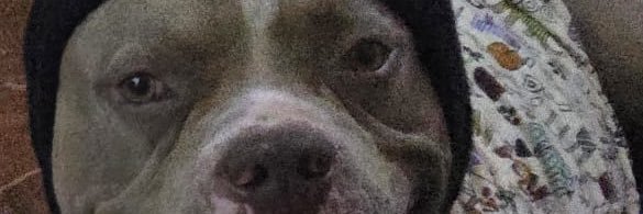 dalay124's profile banner image