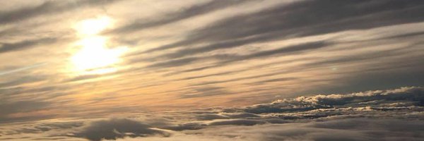 AlphonsoDavid Profile Banner