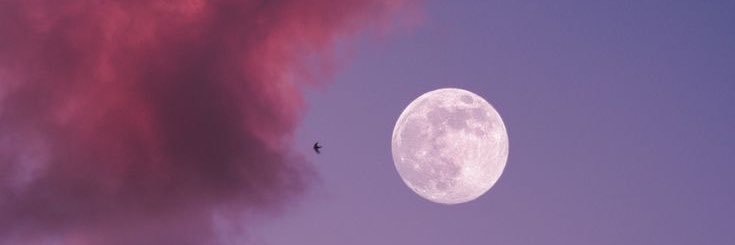 𝕷𝖆𝖚🌙 banner