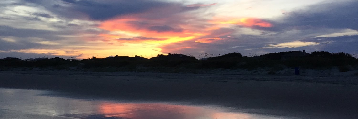 Kristyn Hunter banner